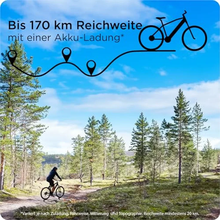Zündapp E-Bike MTB X1000, 29 Zoll Fully mit 10-Gang Schaltung, 733 Wh Akku, schwarz – Bild 2
