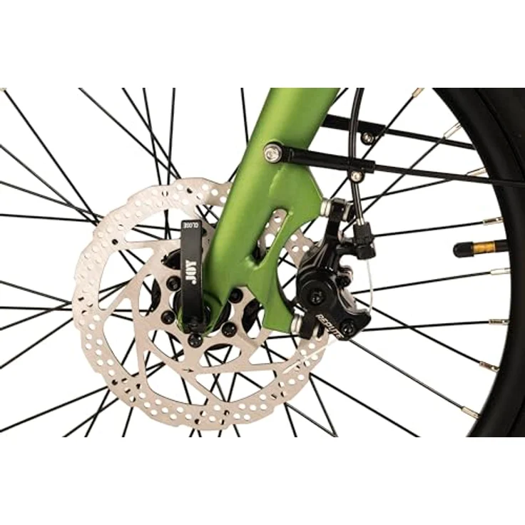 Adore E-Citybike 20" Alu Kompaktfahrrad C-200 Compact Bike Heckmotor 45NM / 10,4Ah Metallic-Grün matt, ideal für Pendler und Abenteurer – Bild 5