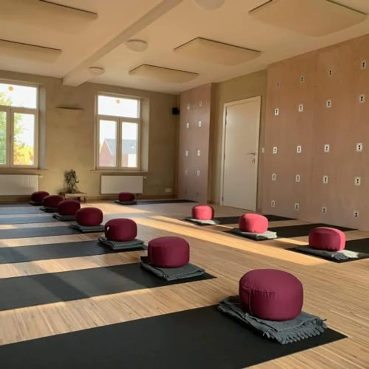 Bodhi Meditationskissen Rondo ECO | Yogakissen mit Bio Dinkelfüllung | Bezug aus 100% Baumwolle | Waschbarer Bezug mit praktischer Trageschlaufe | Höhe 20 cm (Honig-gelb) – Bild 8