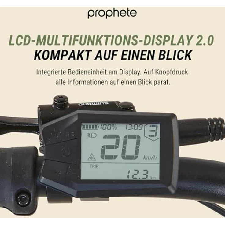 Prophete DICE 2.0 E-MTB 29" – Enovation Hinterradmotor 48V, 250W, 46Nm, Shimano Alivio 9-Gang Kettenschaltung, 130 km Reichweite, Sandbeige – Bild 4