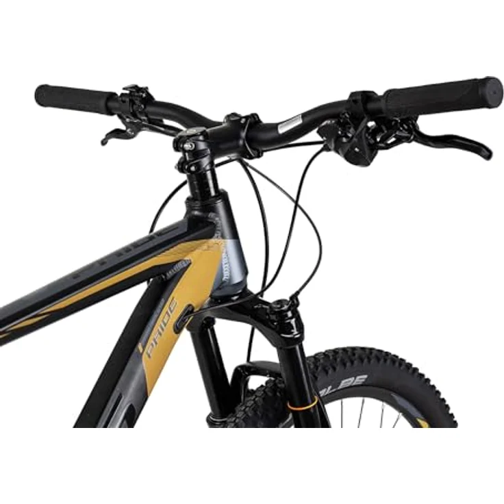 Axess PRIDE Hardtail Mountainbike 29 Zoll, Shimano Cues Antrieb, MT400 Scheibenbremsen, Dunkelgrau, 17 Zoll – Bild 5