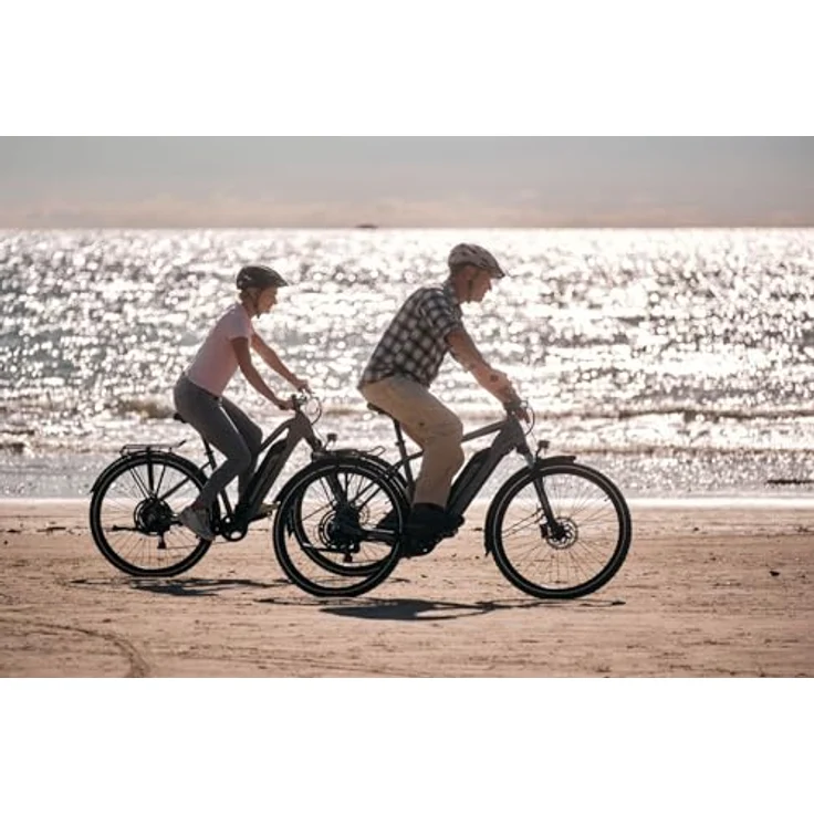 Fischer E-ATB Active Terra 2.2, Elektrofahrrad für Damen und Herren, 459Wh Heckmotor 50Nm, 48V, RH 55, hydraulische Scheibenbremse, 8 Gänge, 90 Lux Beleuchtung – Bild 4