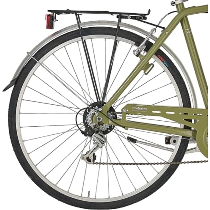 ALPINA Roxy Mann, 1-Gang Cityrad mit 550 mm Aluminiumrahmen, Stahlgabel, Reed Green, 28 Zoll – Bild 4