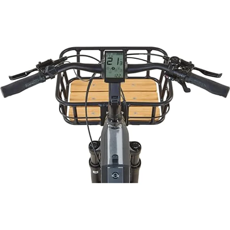 Prophete URBANICER 4.0 Urban Longtail-E-Bike 24", AEG 250W Mittelmotor, 170 km Reichweite, 9-Gang, hydraulische Scheibenbremsen, LED-Beleuchtung, integrierter Li-Ion Akku, grau – Bild 3