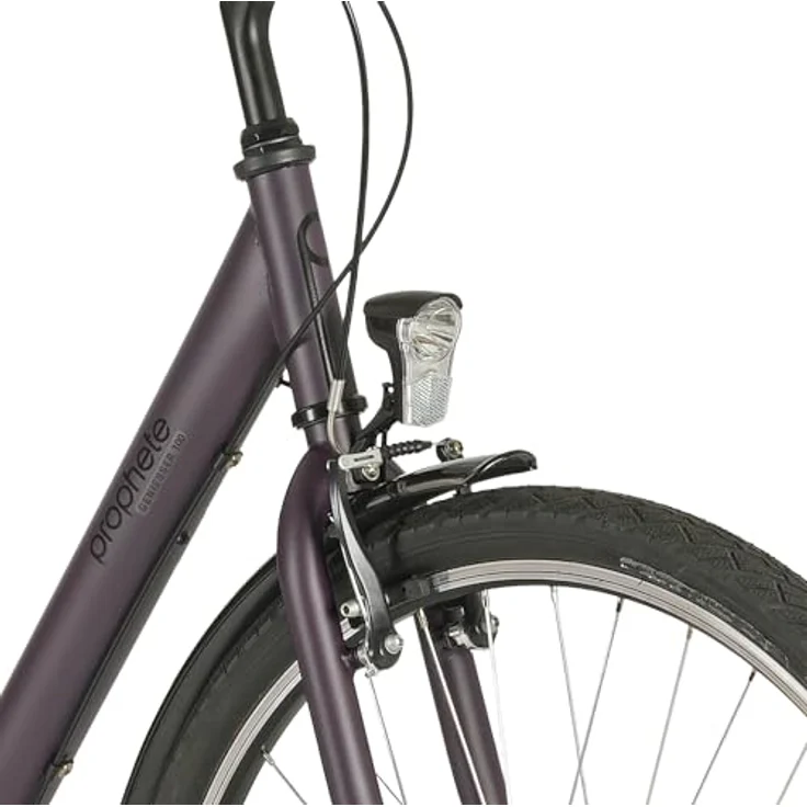 PROPHETE Geniesser 100 Cityrad 28" Dark Purple Matt – Shimano 3-Gang Nabenschaltung, LED-Beleuchtung, Rücktrittbremse, Wave Stahlrahmen 46 cm – Bild 3