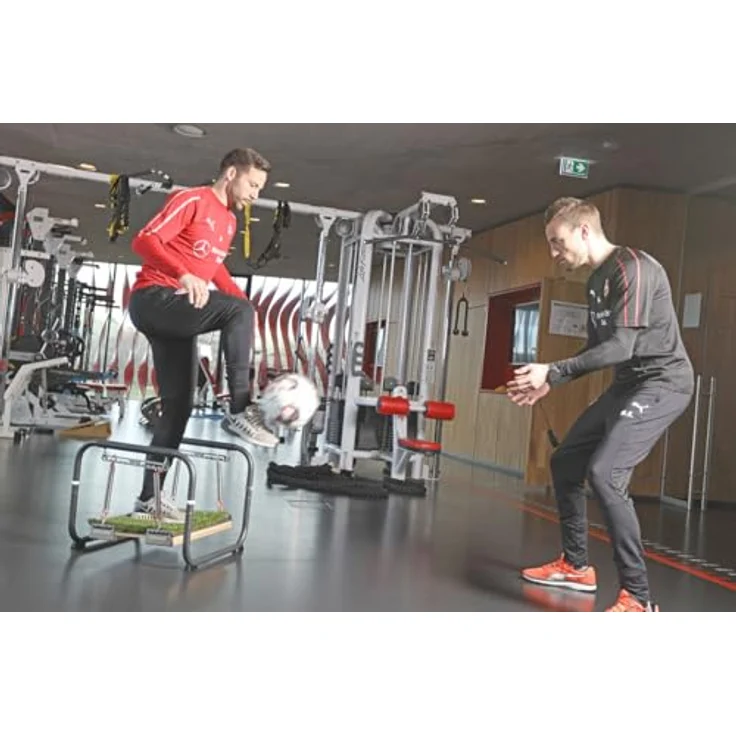 Pedalo Stabilisator Profi, Balance Trainer mit 2 separaten Standplattformen, belastbar bis 120 kg, Holz Birke Multiplex – Bild 7