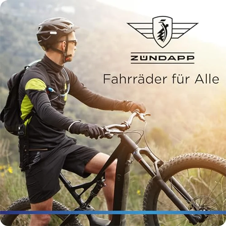 Zündapp E-Bike MTB X1000, 29 Zoll Fully mit 10-Gang Schaltung, 733 Wh Akku, schwarz – Bild 11