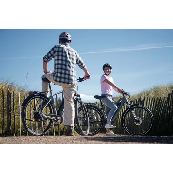 Fischer E-ATB Terra 2.2 Active, Elektrofahrrad für Damen und Herren, RH 45, 459Wh Akku, Heckmotor 50Nm, 8-Gang SHIMANO, 90 Lux Beleuchtung, integriertes Rahmenschloss – Bild 5