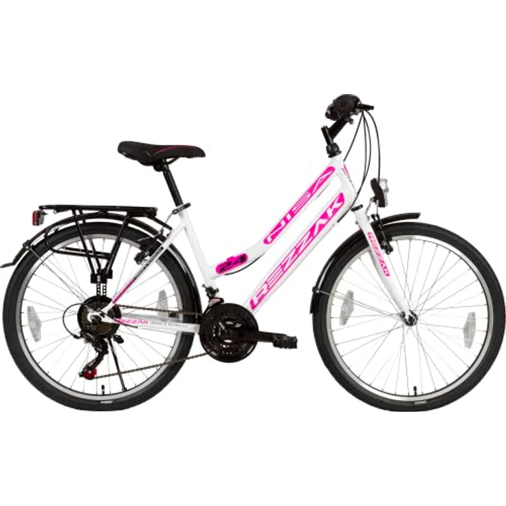 mountainbike e bike gebraucht Polluno E-Citybike Gebrauchtes E-Bike Leicht zerkratzt main image 0