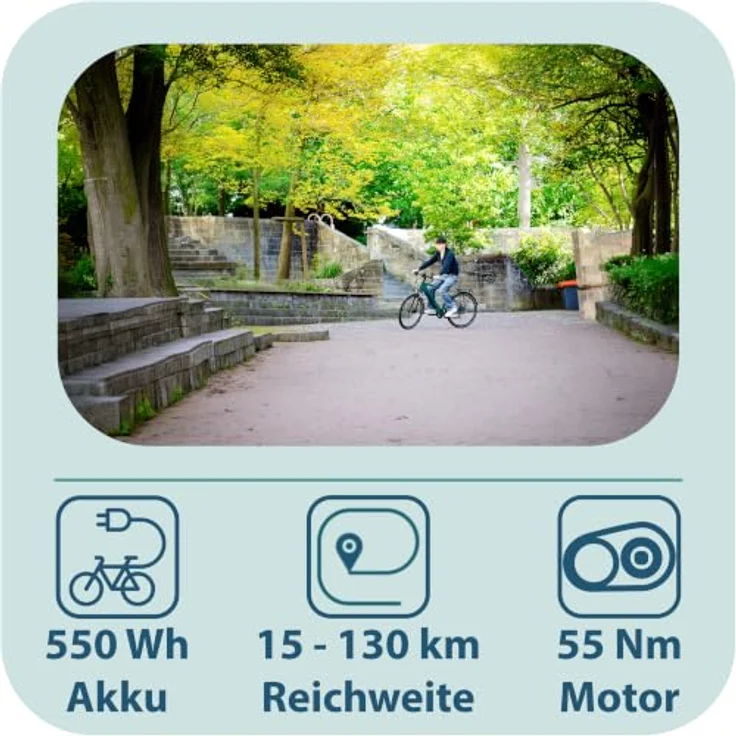 Tretwerk Onyx E Bike, Trekkingrad für Herren mit 28 Zoll Laufrädern, 250 W Motor, 550 Wh Akku, dunkelgrün – Bild 3