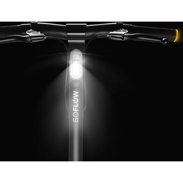 soflow E-Scooter SO4 Pro Max, 750 W, 22 km/h, 75 km Reichweite, Austauschbarer Akku, Dreifach-Bremssystem, Smart Cockpit mit LED-Farbdisplay – Bild 4
