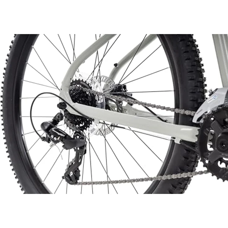 Axess Brash Mountainbike, MTB-Hardtail mit 16-Gang Schaltung und hydraulischen Scheibenbremsen, Farbe: Grey, Rahmengröße: 19 Zoll, Laufradgröße: 29 Zoll – Bild 4