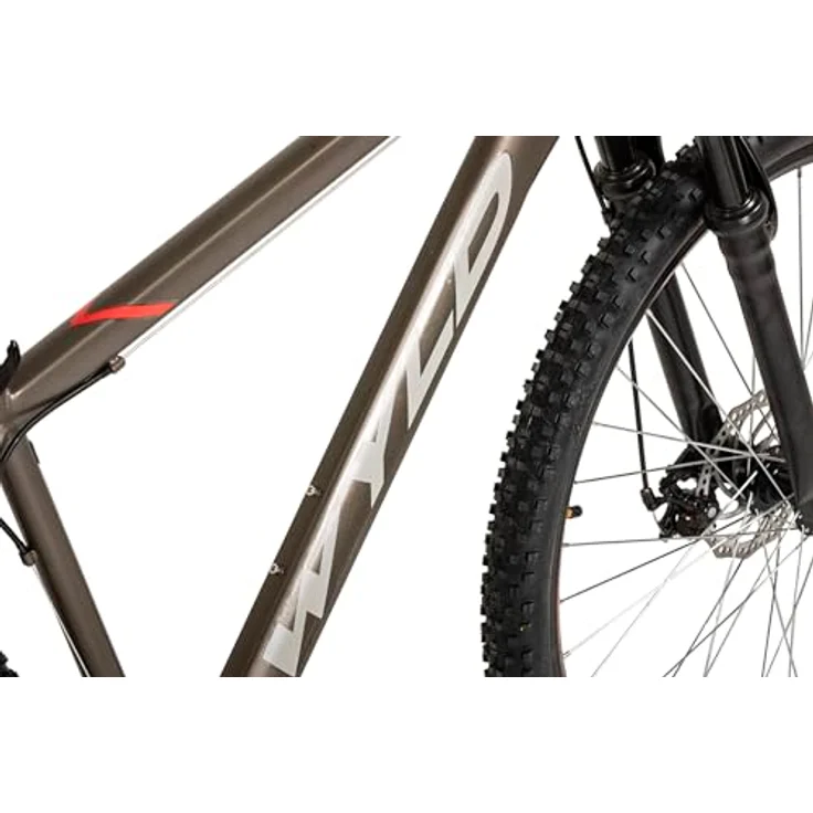 Wyld SHARP, 29" Hardtail-Mountainbike, Platinfarbe, 21 Gänge mit SHIMANO, Scheibenbremsen – Bild 9