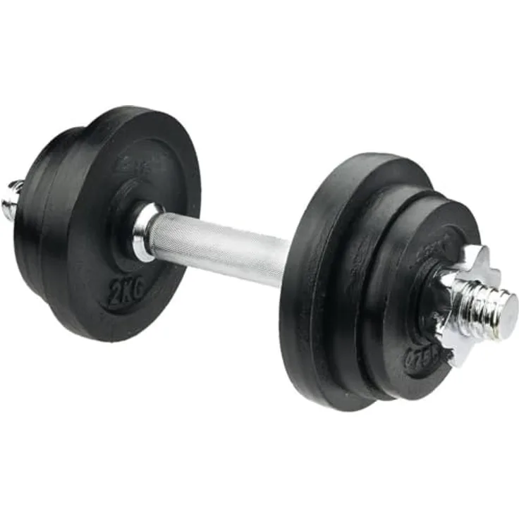 V3TEC Kurzhantelset 11 kg, Komplettset mit 2,5 kg Stange und Gewichten in schwarz-grau