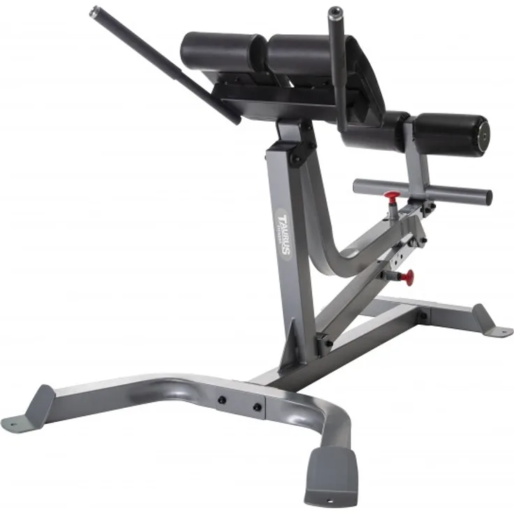 Taurus Rückentrainer B850 Pro