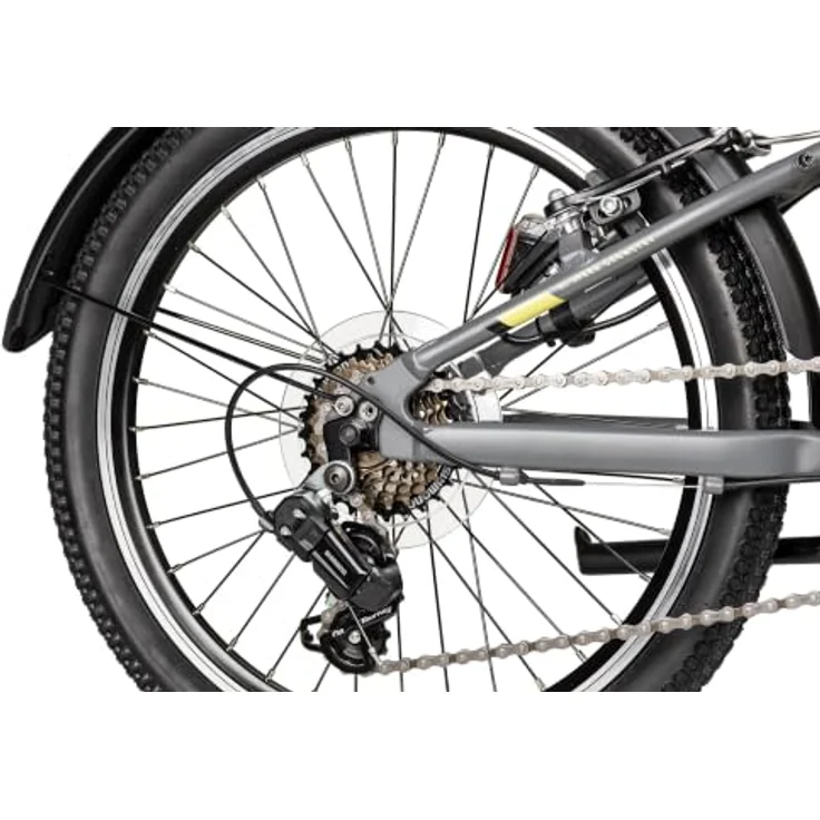 Axess Kinderfahrrad Stipe 20 Street, 7-Gang Kettenschaltung mit Shimano Tourney RD-TY202, V-Brake, Straßenausstattung schwarz/grau – Bild 6