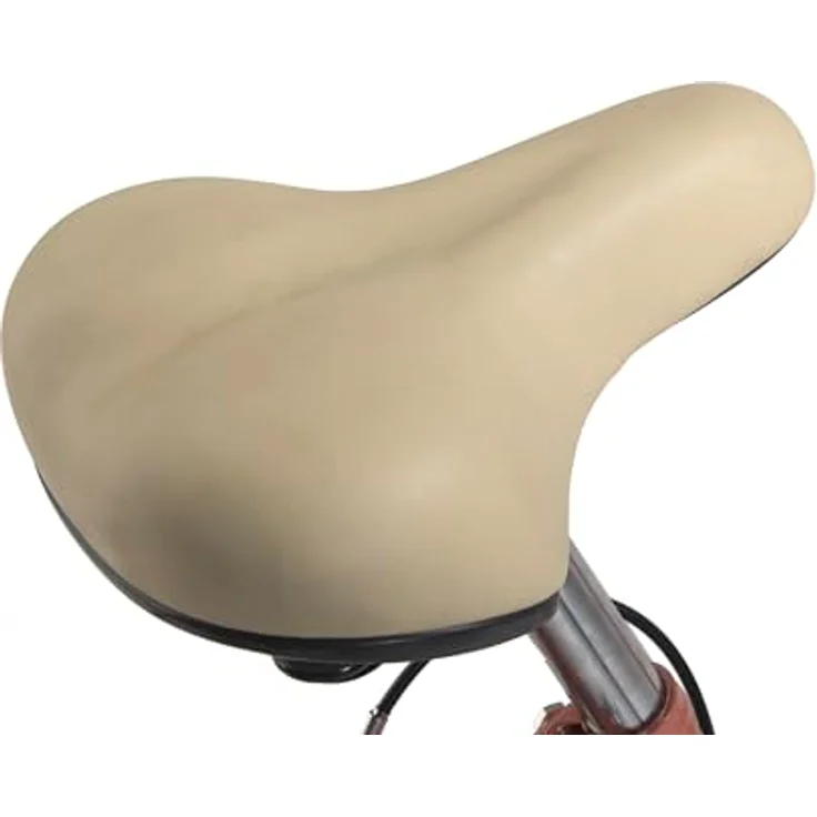 HOLLANDIA Damen 28" Feelgood Singlespeed Rot Cityrad RH 53 cm – Bild 5