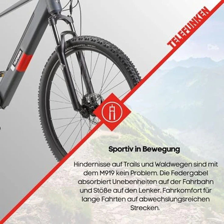 Telefunken E-Bike Aufsteiger M919, 29 Zoll E-MTB mit 7 Gang Shimano Tourney Schaltwerk, Heckmotor und 468 Wh Akku – Bild 11