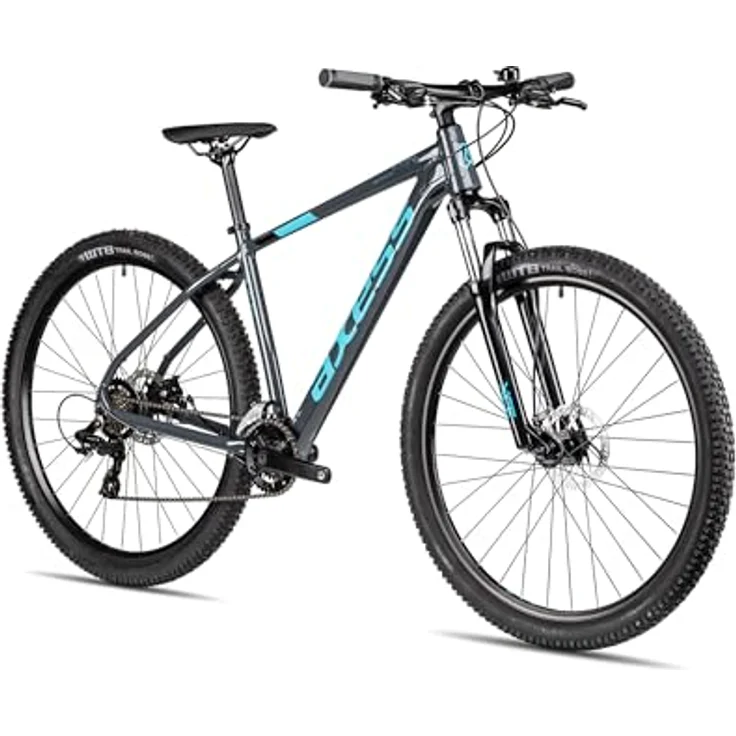 Axess Sandee Mountainbike, MTB-Hardtail mit 14-Gang Schaltung und mechanischen Scheibenbremsen, Farbe: Grey, Rahmengröße: 17 Zoll, Laufradgröße: 29 Zoll – Bild 2
