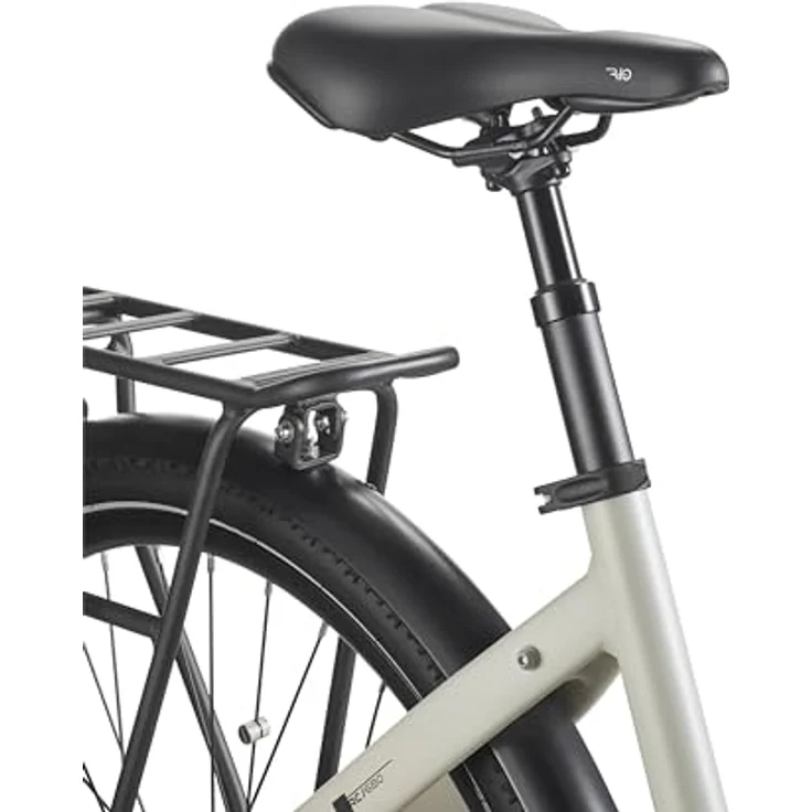 TELEFUNKEN E-Bike Damen 28 Zoll, Elektrofahrrad Mittelmotor, 10-Gang Shimano Kettenschaltung, Hydr. Scheibenbremsen - Pedelec Citybike, RC680 Multitalent, Silber - Preisvergleich – Bild 5