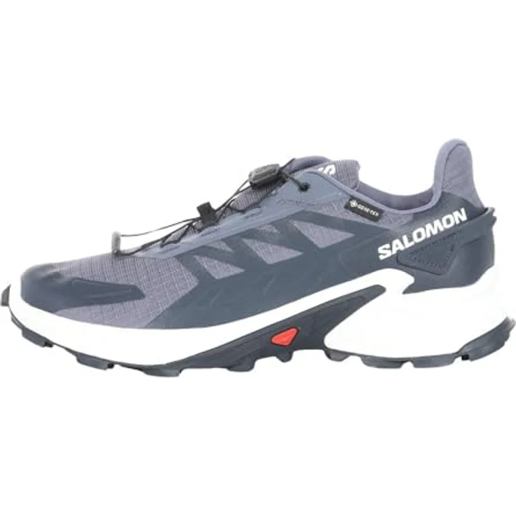 Salomon Herren Sneaker Supercross 4 GTX, wasserdichte Trailrunningschuhe mit GORE-TEX, Quicklace-Schnellschnürsystem, grisaille/white/carbon, Größe 11.5 – Bild 6