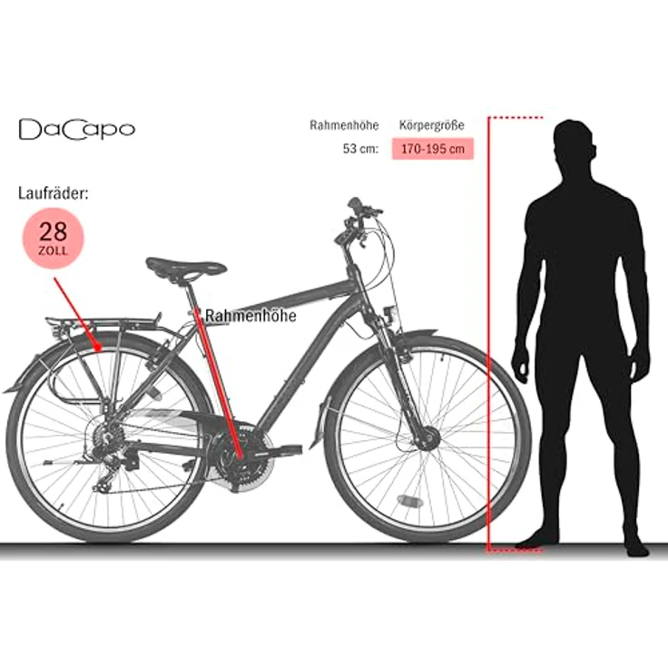 DACAPO Trekkingrad Firenze 100, 28 Zoll, Herrenfahrrad mit 21 Gängen, anthrazit, V-Brakes, RH 53 cm – Bild 3