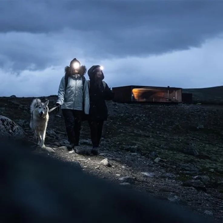 Thule AllTrail 4-Season Wanderrucksack, 50 cm, faded khaki, 100% Polyester – Bild 5