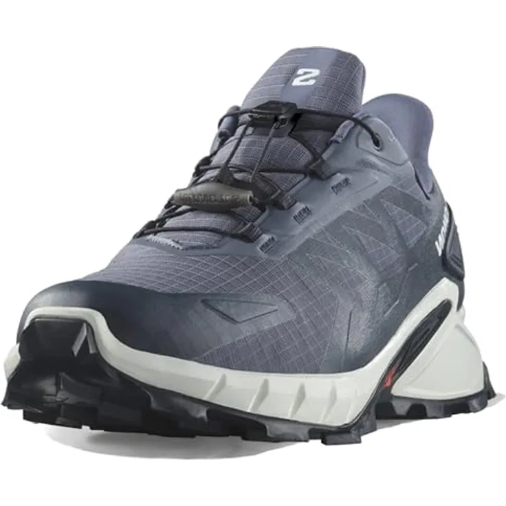 Salomon Supercross 4 GTX, Herren Sneaker mit Gore-Tex-Membran, grisaille/white/carbon