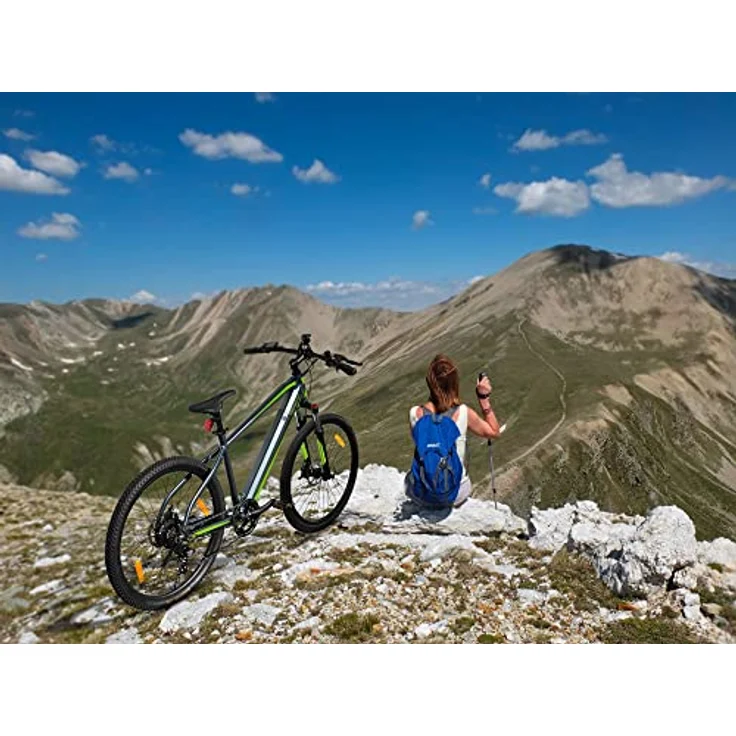 SachsenRAD E-Bike R8 Ranger, 27,5 Zoll, StVZO, hydraulische Scheibenbremsen, 7-Gang, LCD, 36V Akku, Off-Road Reifen, Grau – Bild 3