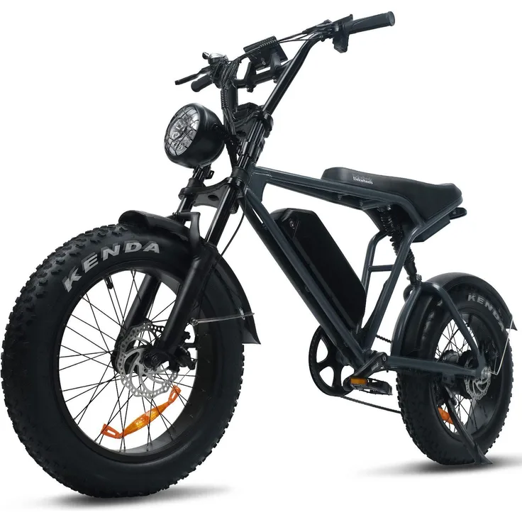 VANKEL E-Bike Cityrad Schneemobil E6, 48V 15Ah, 250W Heckmotor, 100 km Reichweite, 80Nm Drehmoment, 7 Gang Shimano, Doppelte Federung, 20'' Fat-Reifen