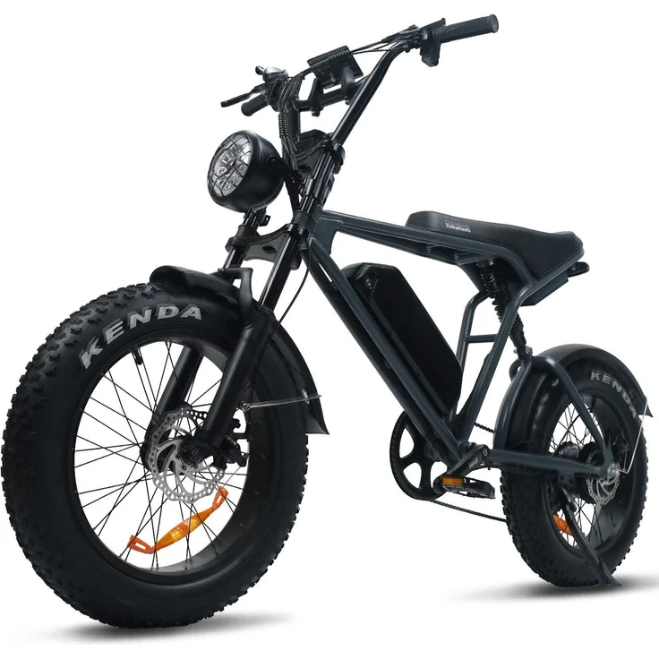 VANKEL E-Bike Cityrad Schneemobil E6, 48V 15Ah, 250W Heckmotor, 100 km Reichweite, 80Nm Drehmoment, 7 Gang Shimano, Doppelte Federung, 20'' Fat-Reifen
