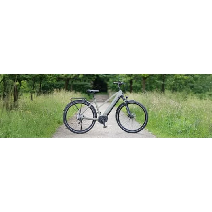Prophete ENTDECKER 4.0 E-Bike, 28" Mittelmotor 250 W/100 Nm, 9-Gang Kettenschaltung, TFT-Display, 48 V Akku, Schwarz/Anthrazit – Bild 5