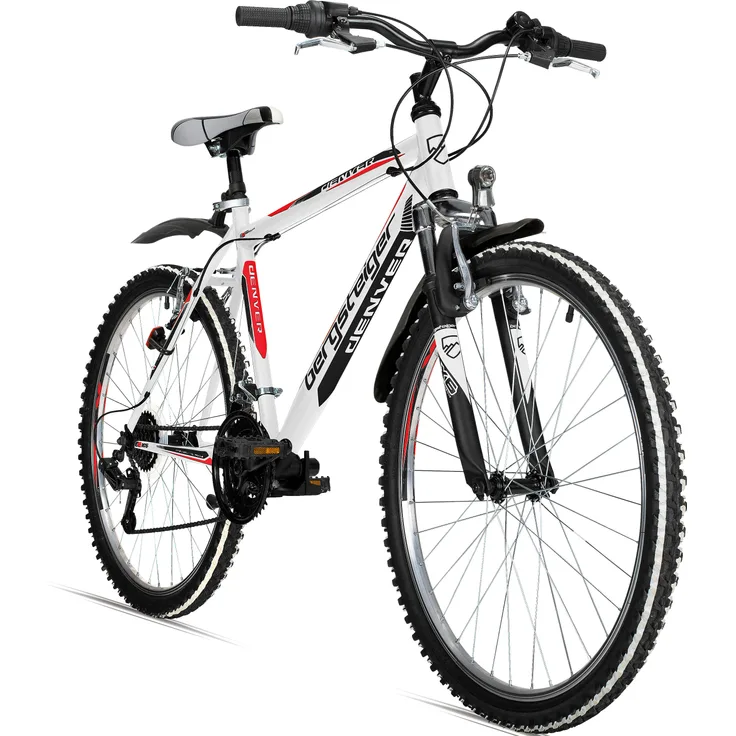 Bergsteiger Denver 26 Zoll Mountainbike, geeignet ab 155 cm, 18 Gang-Schaltung, Licht, Schutzblech, Gabel-Federung, matt lackiert