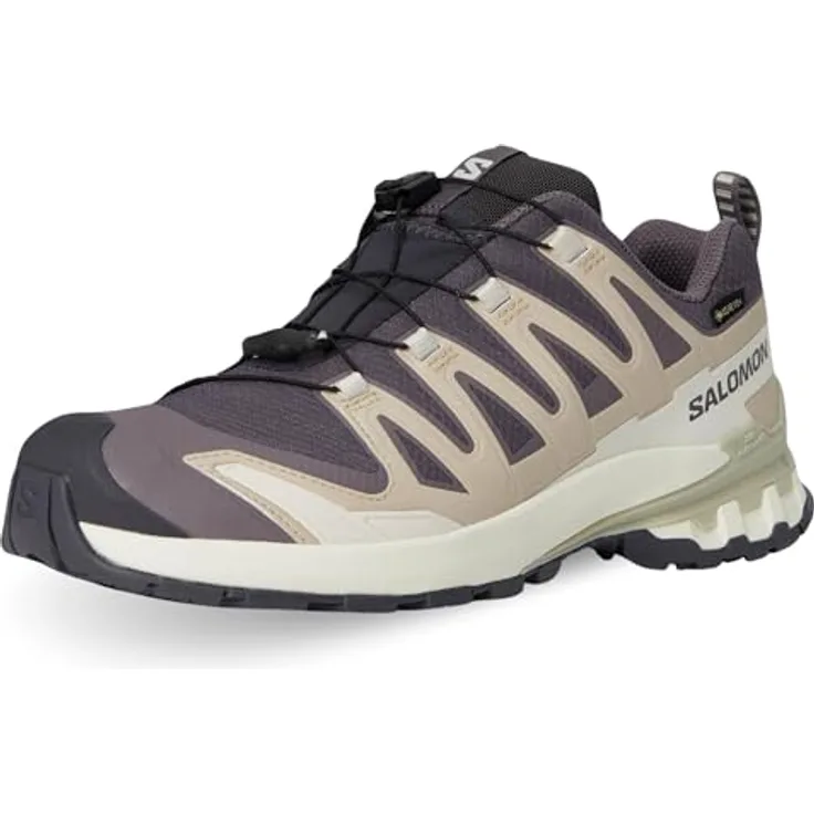 Salomon XA PRO 3D V9 GTX W, Multifunktions-Wanderschuhe in 9 Iron/Oxford, wasser- und winddicht, atmungsaktiv, ca. 630 g (Paar)