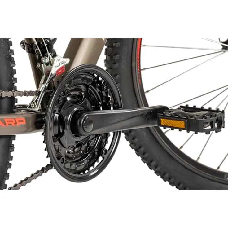 Wyld SHARP, 29" Hardtail-Mountainbike, Platinfarbe, 21 Gänge mit SHIMANO, Scheibenbremsen – Bild 3