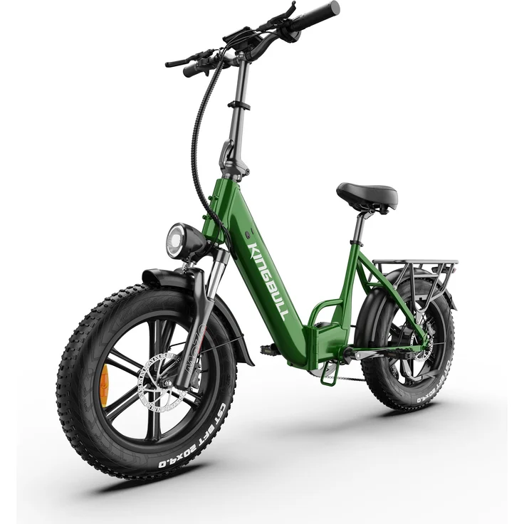 PIXAR Literider 2.0, 20 Zoll Fat E-Bike Tiefeinsteiger mit 250W Motor, 48V 13,5Ah Akku, bis 90 km Reichweite, Shimano 7-Gang, Traglast bis 180 kg