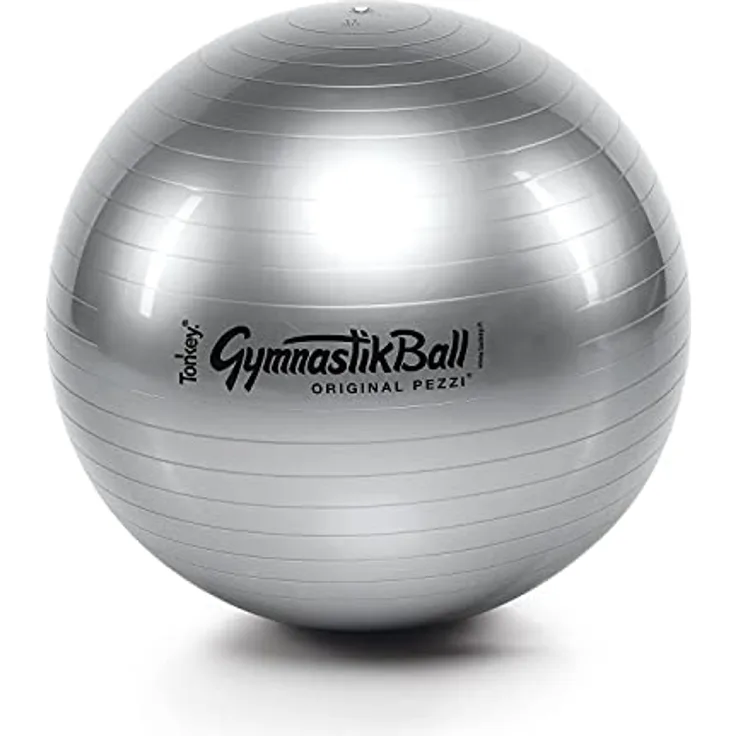Original Pezzi Ball STANDARD 65 cm silber Gymnastikball Sitzball Training