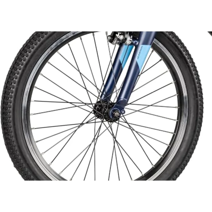 Axess Kinderfahrrad Stipe 20, 7 Gang Shimano Tourney Kettenschaltung, leichter Aluminiumrahmen, blau – Bild 5