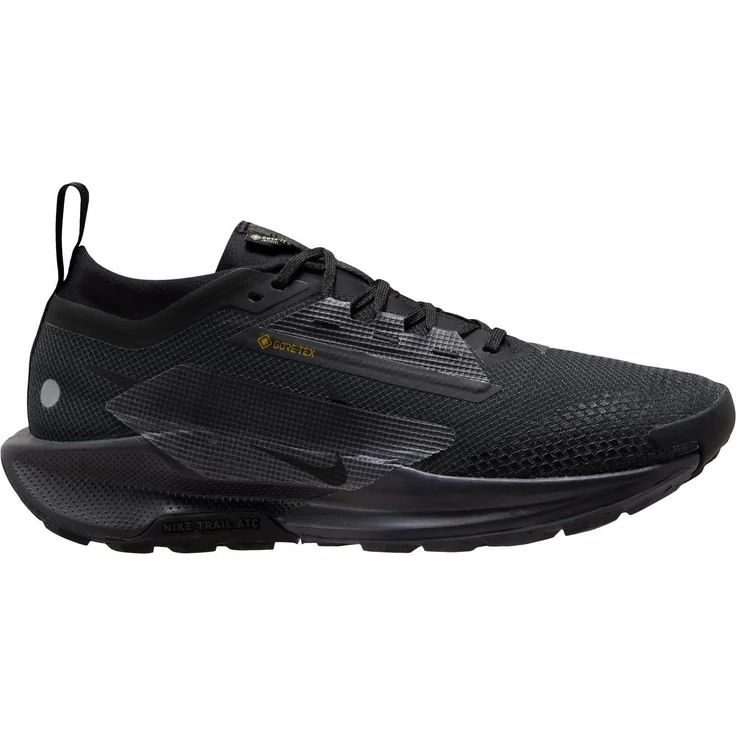 Nike Pegasus Trail 5 GORE-TEX, Herren Laufschuhe mit wasserdichter Membran und optimalem Grip, Schwarz (42.5)
