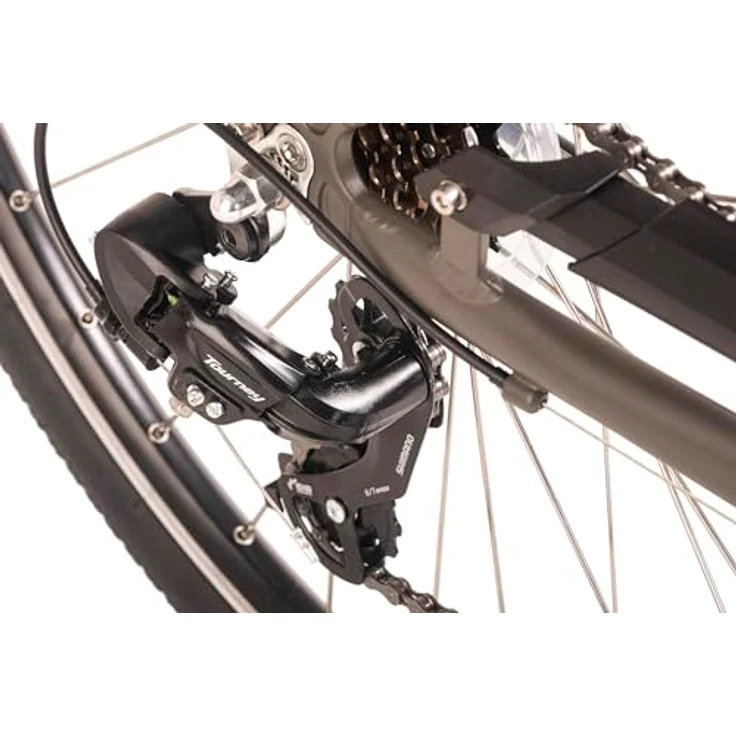HOLLANDIA E-Citybike Herren 28" Zagon RH 53 cm Grau 250 Watt Li-Ion 36V/13 Ah 6 Gänge – Bild 3