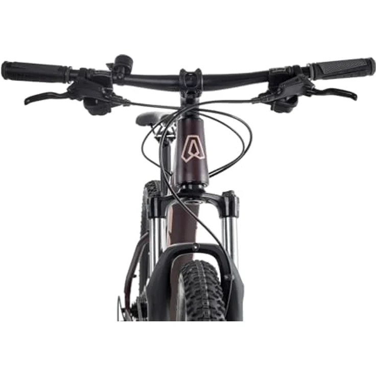 Axess Doree, Damen-Mountainbike Hardtail mit 16-Gang Schaltung und hydraulischen Scheibenbremsen, matt red, 17 Zoll Rahmen, 29 Zoll Laufräder – Bild 3