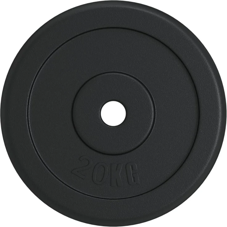 vidaXL Hantelscheibe 20 kg, Gusseisen mit kratzfester Pulverbeschichtung, schwarz, für Langhantel mit 3 cm Durchmesser