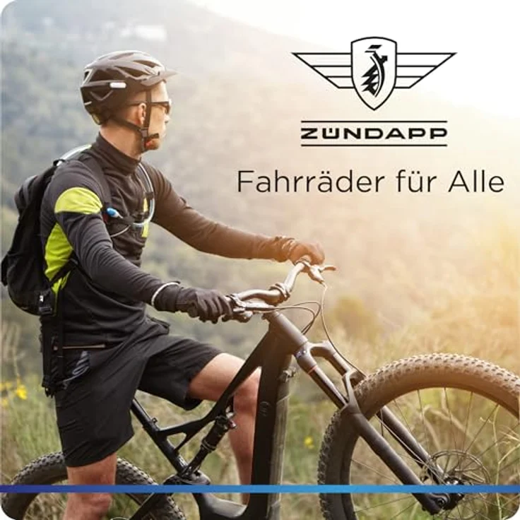 Zündapp Z510 E Bike 28 Zoll Damenfahrrad ab 155 cm mit 3 Gang Nabenschaltung und Rücktrittbremse, weiß – Bild 9