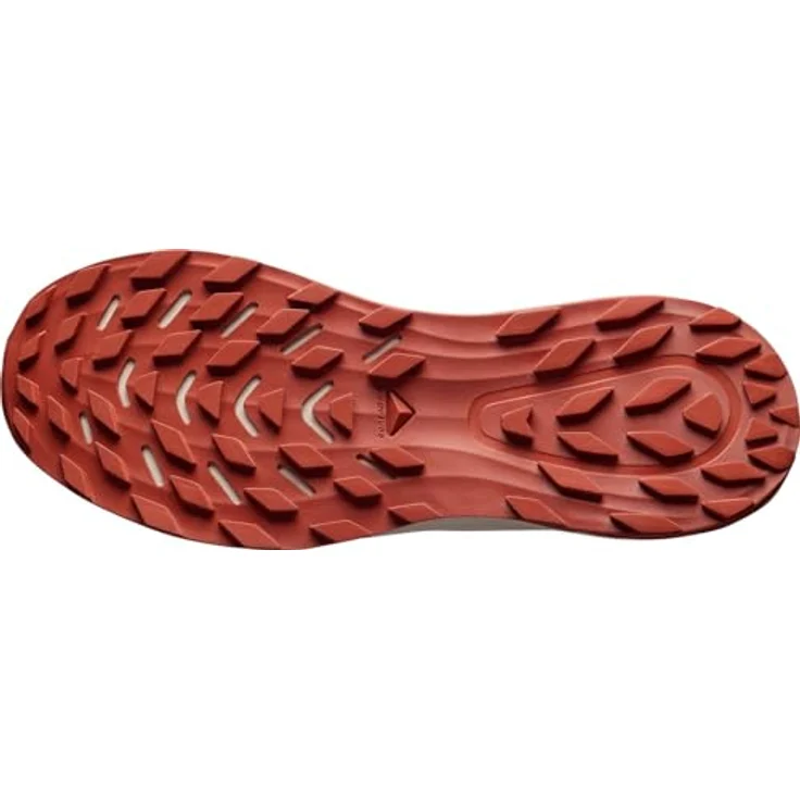 Salomon Alpharide 2 GTX, Laufschuhe für Normalpronierer mit GORE-TEX Membran, Quicklace™-Schnellschnürsystem und Contagrip®-Außensohle, grau – Bild 3