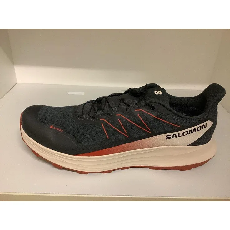 Salomon Alpharide 2 GTX, Laufschuhe für Normalpronierer mit GORE-TEX Membran, Asphal/Arabia/Rain, Größe 47.5