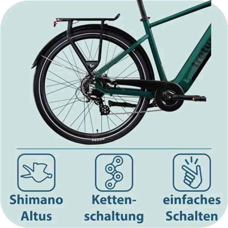 Tretwerk Onyx E Bike, Trekkingrad für Herren mit 28 Zoll Laufrädern, 250 W Motor, 550 Wh Akku, dunkelgrün – Bild 6