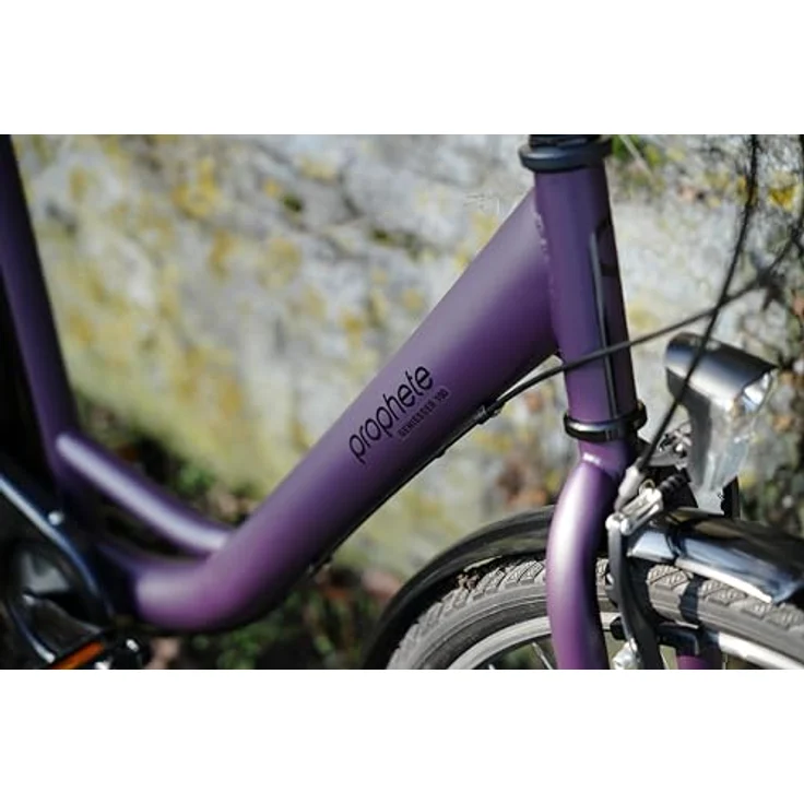 PROPHETE Geniesser 100 Cityrad 28" Dark Purple Matt – Shimano 3-Gang Nabenschaltung, LED-Beleuchtung, Rücktrittbremse, Wave Stahlrahmen 46 cm – Bild 8