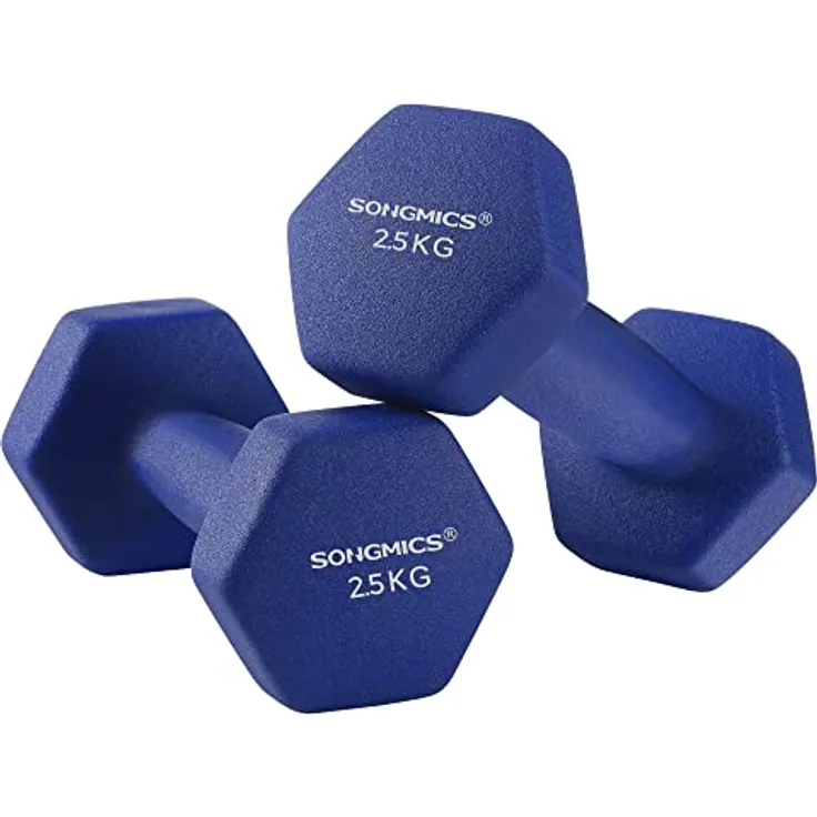 SONGMICS 2er-Set Hanteln, 2 x 2,5 kg rutschfeste Gymnastikhantel mit matter Beschichtung aus Neopren, Krafttraining, zu Hause, Fitnessstudio blau SYL65BU