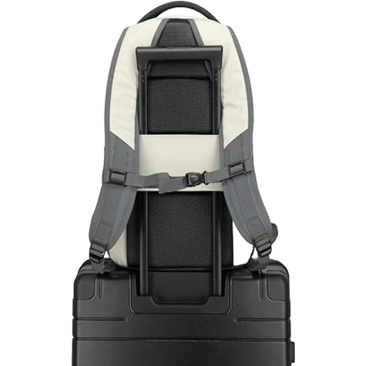 Travelite Rucksack BASICS, Handgepäck Laptop Rucksack 15,6 Zoll, Tagesrucksack mit vielen Fächern, Aufsteckfunktion, 22 Liter, Nature/Anthracite – Bild 5