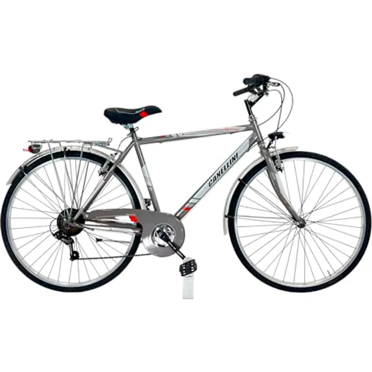 BICICLETTE CANELLINI Moving Steel Herren-Fahrrad, 28 Zoll, Grau